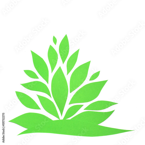 Green paper plant