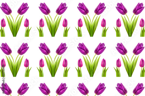 pattern of pink and purple tulips