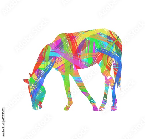 Fototapeta Naklejka Na Ścianę i Meble -  abstract horse