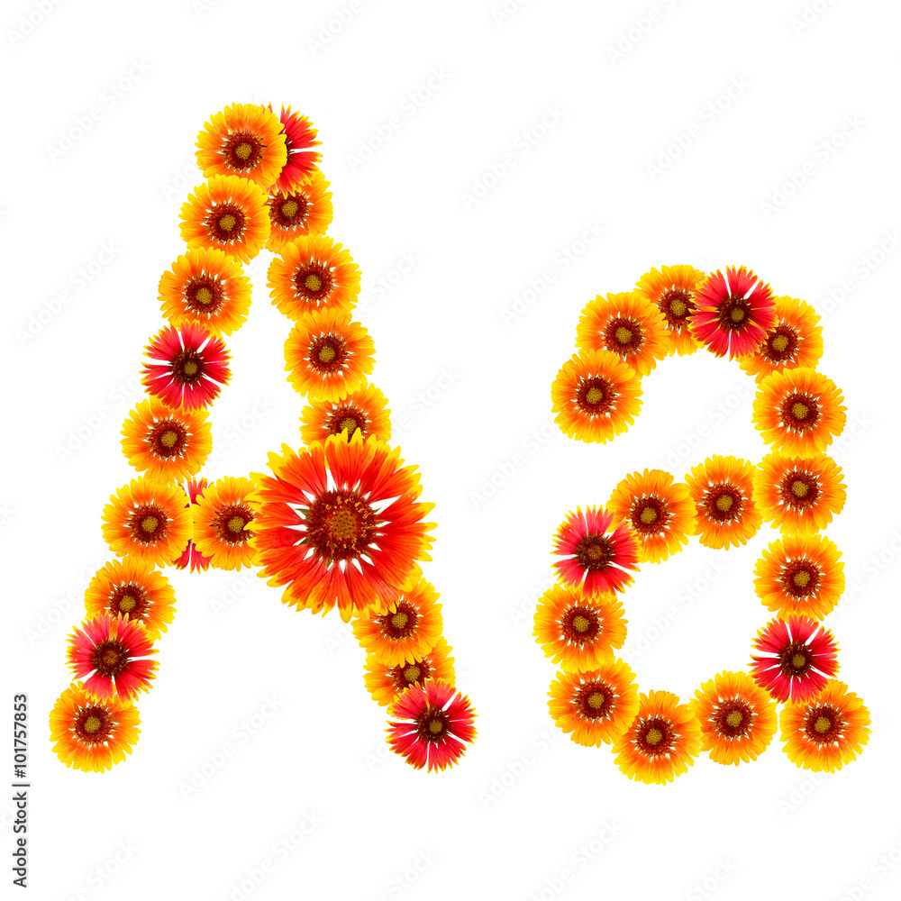 English alphabet from the flowers of yellow and red isolated