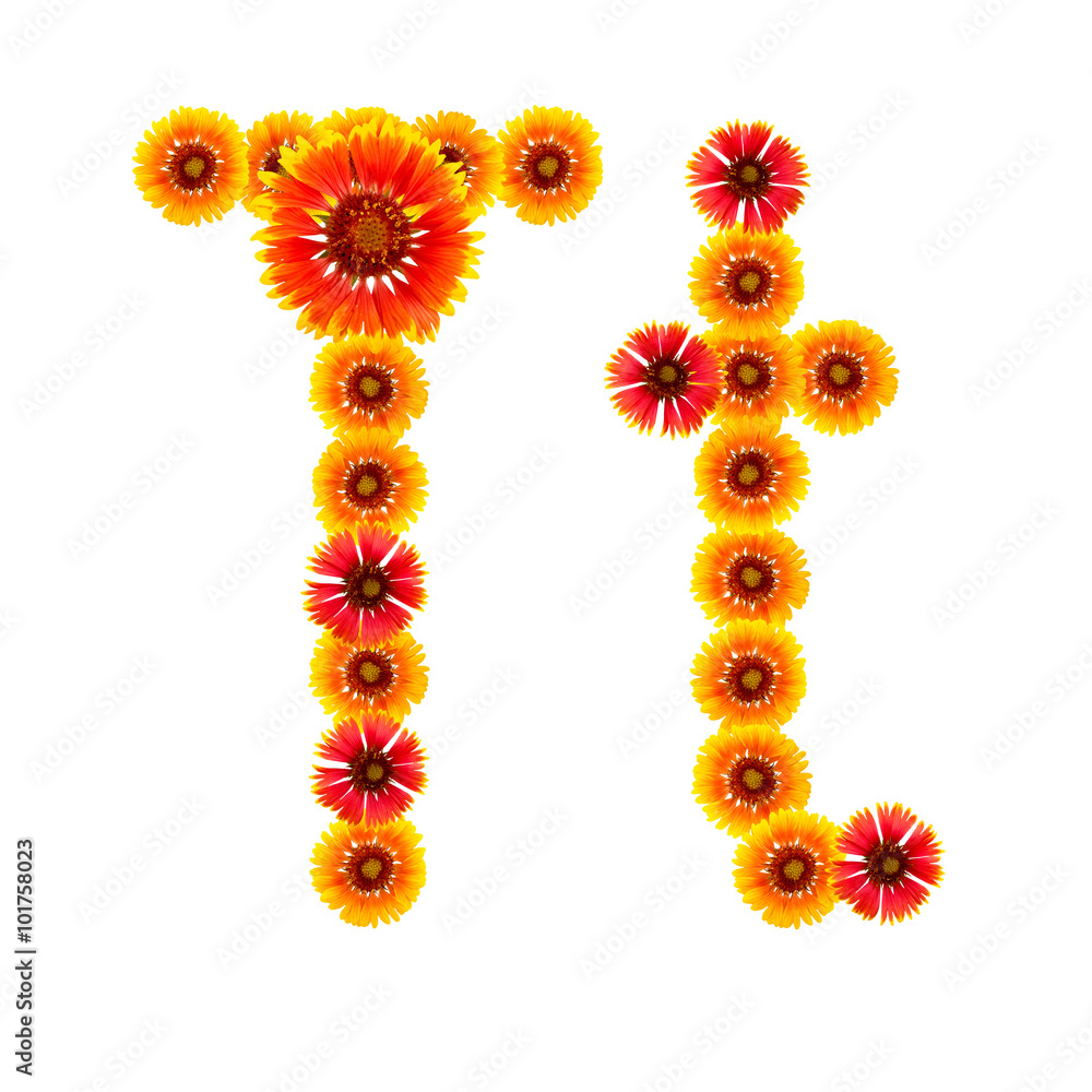 English alphabet from the flowers of yellow and red isolated