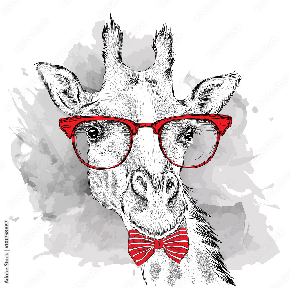 Obraz premium Image Portrait giraffe in the cravat and with glasses. Hand draw vector illustration.