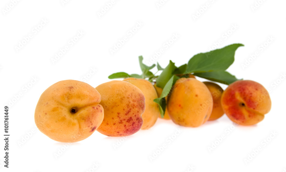apricots lie a heap