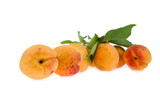 apricots lie a heap