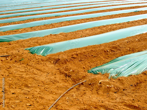 agricultural drill with plasticulture and drip irrigation