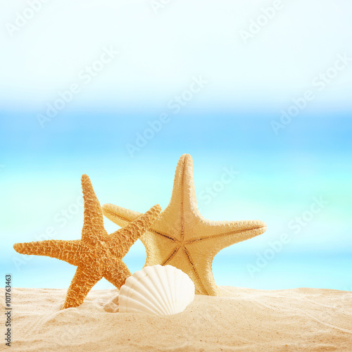 Starfishes and shells on sandy beach