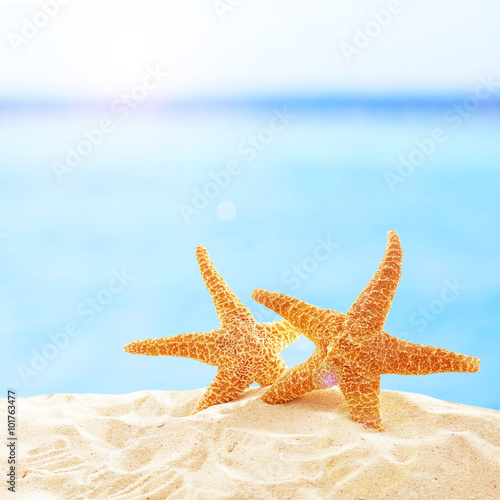 Starfishes on sandy beach