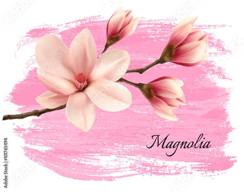 Pink paint magnolia branch banner. Vector.