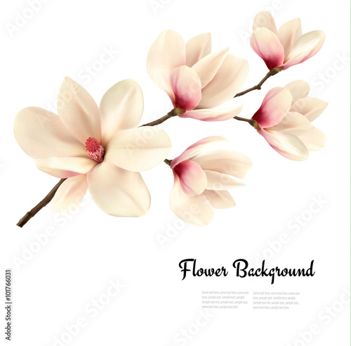 Flower background with blossom branch of white magnolia. Vector