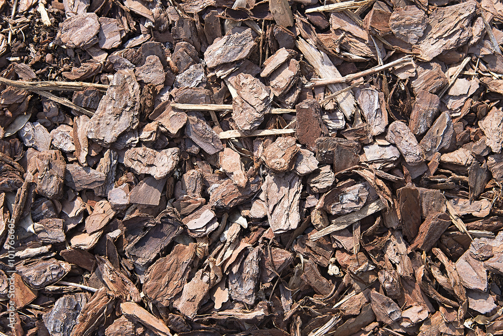 Tree bark pieces background texture Tree bark pieces background texture