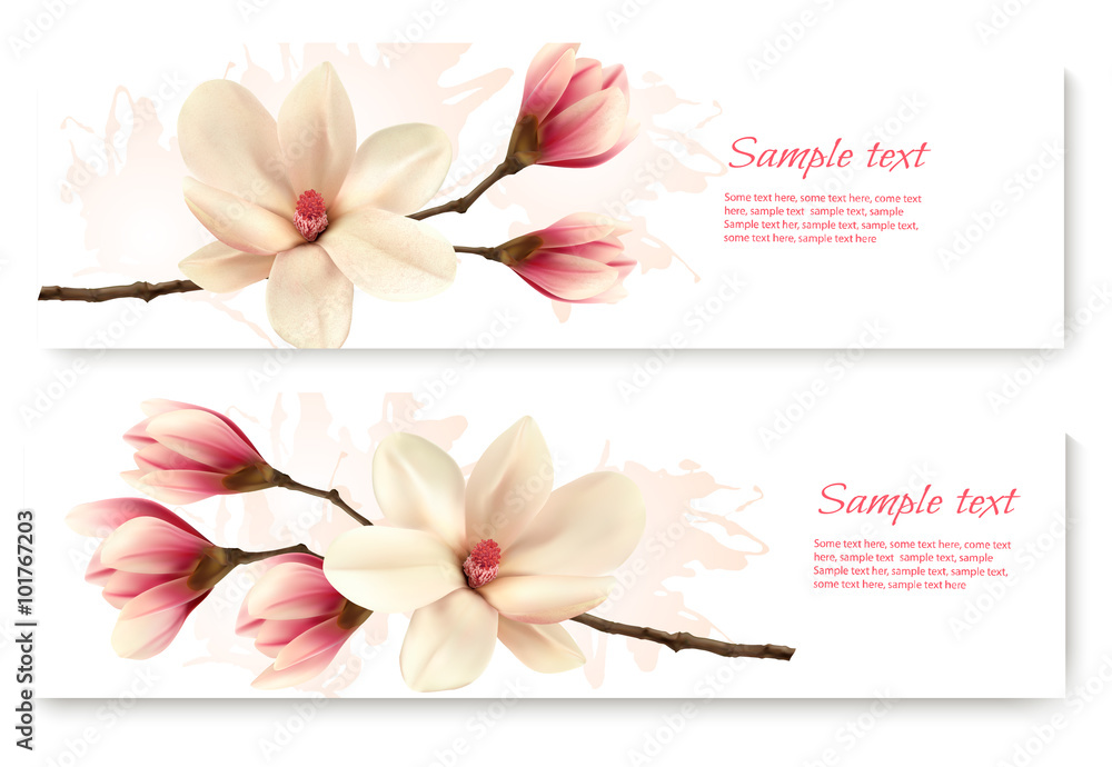 Naklejka premium Two beautiful magnolia banners. Vector.