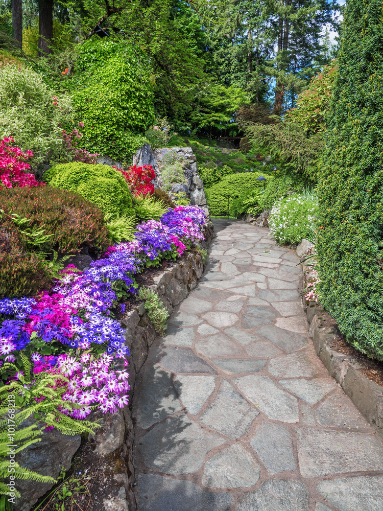 Walkway in a spring garden