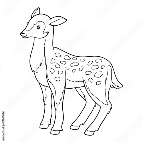 Coloring book for children (deer, doe)