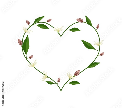 Wine Magnolia Flowers in A Heart Shape photo