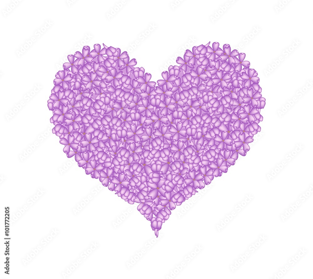 Purple Lilac or Syringa Vulgaris in A Heart Shape