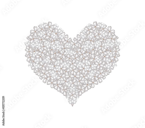White Lilac or Syringa Vulgaris in A Heart Shape