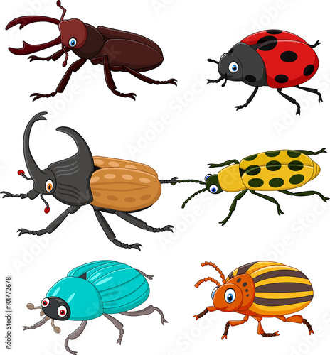 Fotografiet Cartoon funny beetle collection