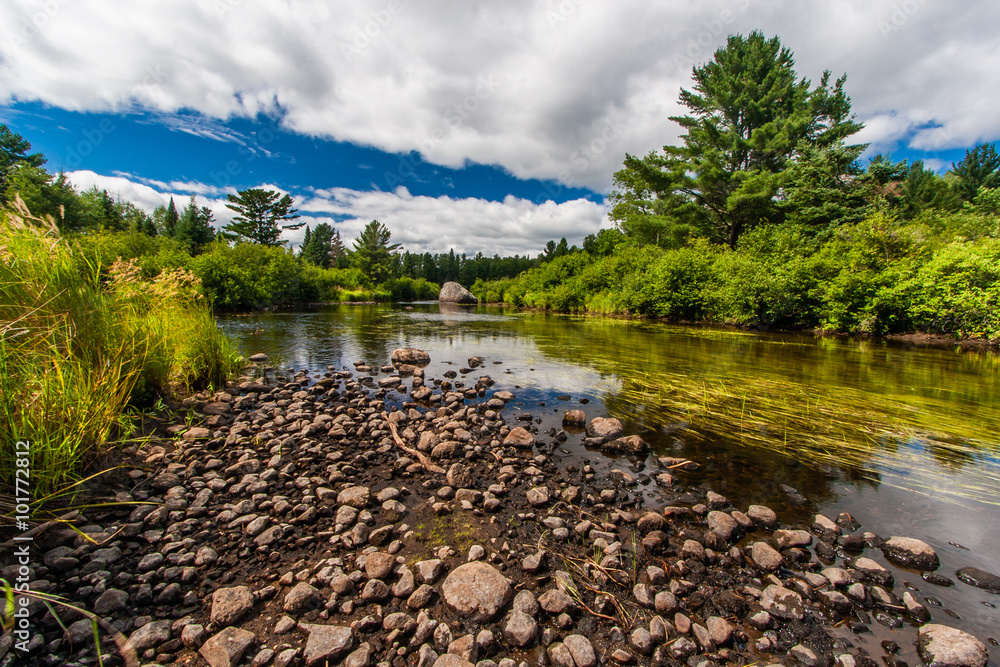Fototapeta premium West Fork of the Chippewa River