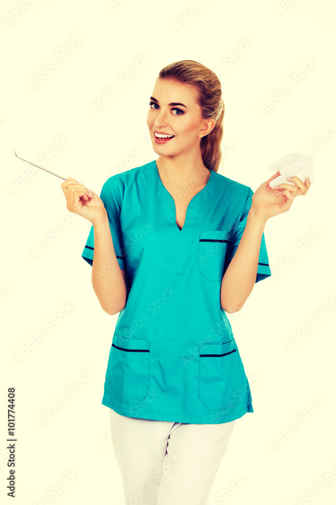 Young smile dentist holding a tooth model Young smile dentist holding a tooth model