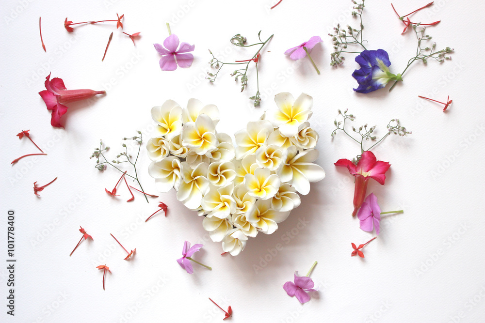 Summers floral heart with flowers, floral heart with Frangipani on white backgrounds, light soft tone and blur, valentines day card concept. - obrazy, fototapety, plakaty 