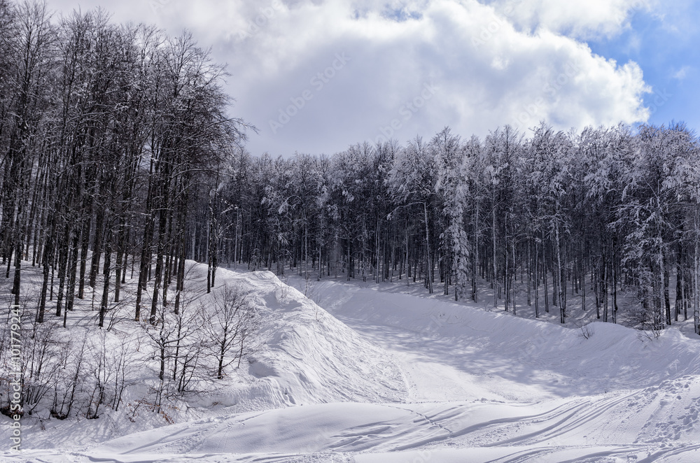 Mountain scenery in Vigla, Florina's ski center, Greece 