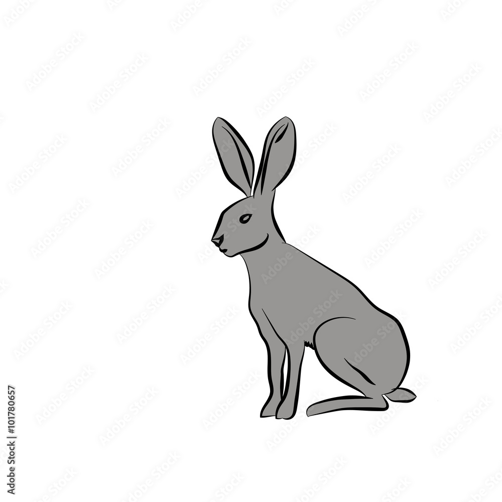 the silhouette rabbit the silhouette rabbit