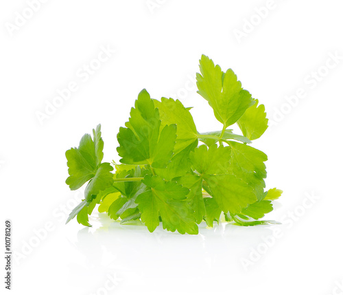 Green celery isolated on white background