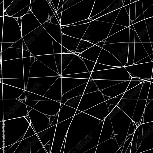 Seamless background with web of spider.