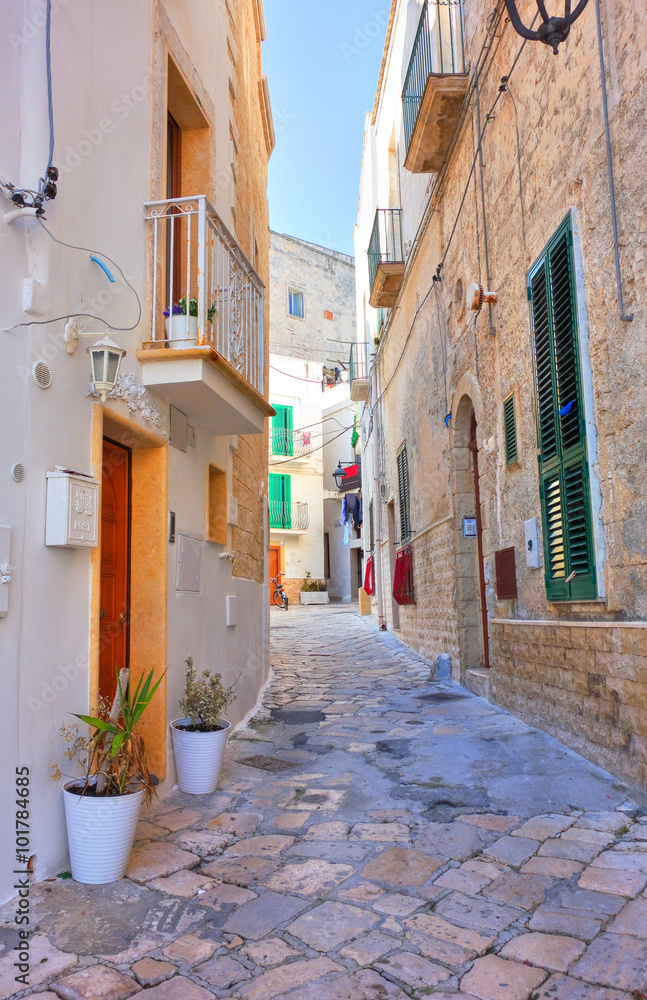 Fototapeta premium Alleyway. Monopoli. Puglia. Italy.