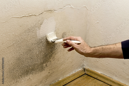 Fotografie Mold and dampness