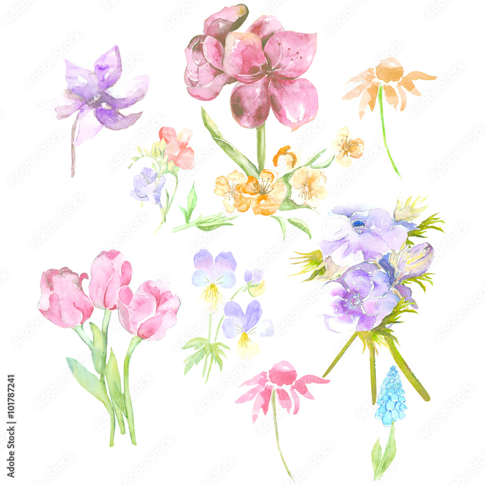 Flowers Set Flowers Set