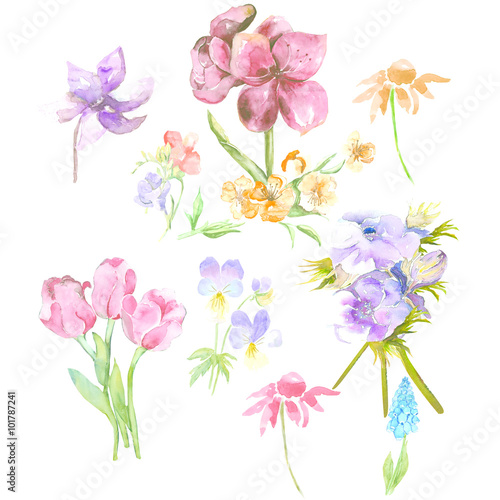 Fototapeta Naklejka Na Ścianę i Meble -  Flowers Set