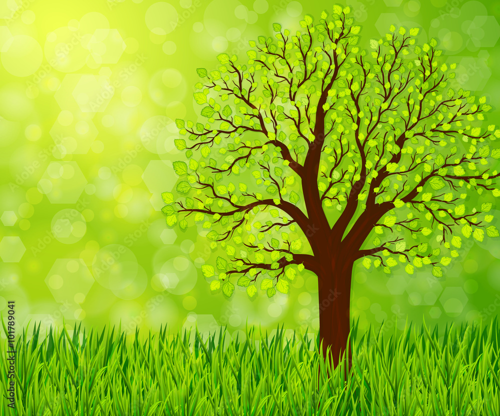 Nature background with green grass and tree Nature background with green grass and tree