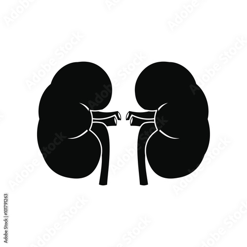 Human kidney black icon