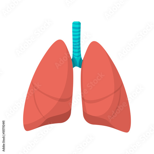 Human lungs cartoon icon