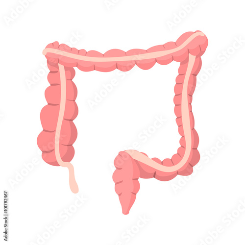 Human colon cartoon icon  photo