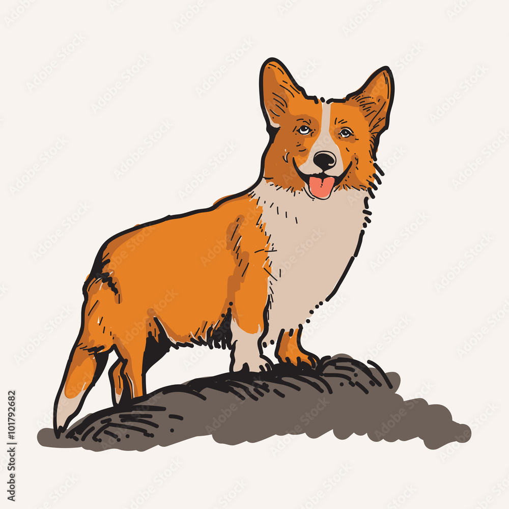 Malinois Dog Vector Illustration Malinois Dog Vector Illustration