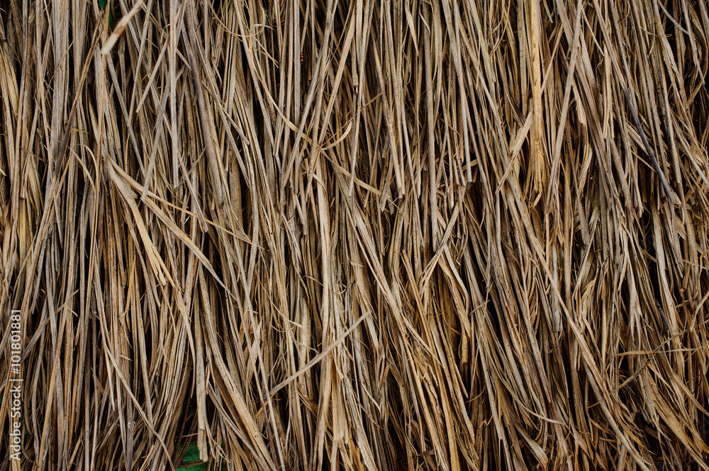 Dry straw macro shot. Background Texture Dry straw macro shot. Background Texture