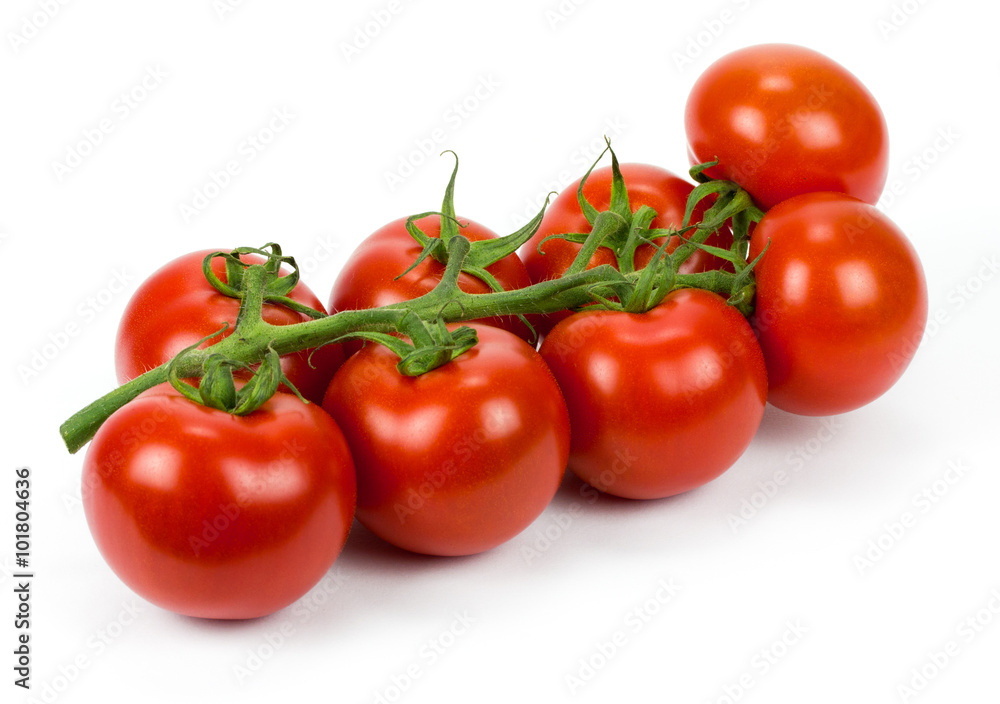 Bunch of fresh tomatoes. Isolated on white background. Bunch of fresh tomatoes. Isolated on white background.