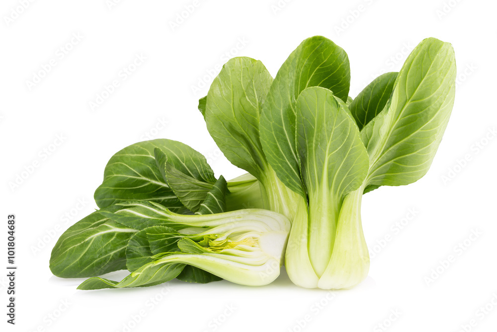 Pok Choi on white background Pok Choi on white background