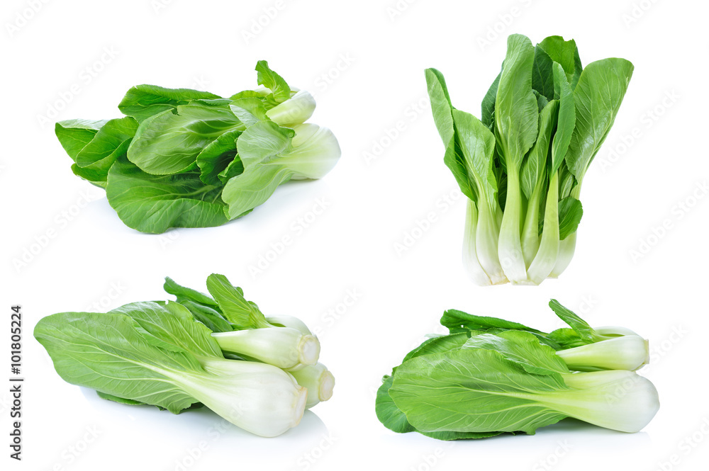 Fotografie Bok choy (chinese cabbage) isolated on white
