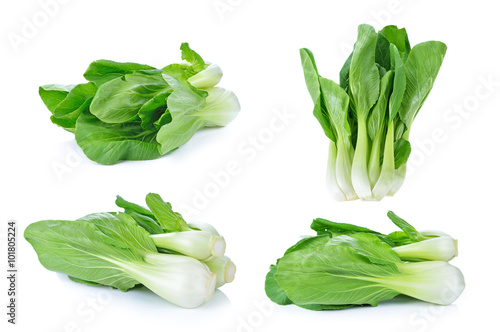 Bok choy (chinese cabbage) isolated on white photo