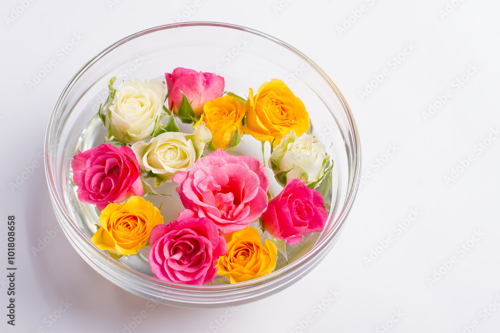 Plate with flowers. Multicolored roses in the water. - obrazy, fototapety, plakaty 