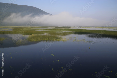 periodic lake, water, flood, karst phenomena, Slovenia, protected area, fog, misty, morning, aquatic plants, yellow water lily, reflection, summer,