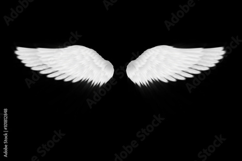 Fototapeta Naklejka Na Ścianę i Meble -  The white wings on black background