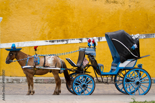 horse carriage in izamal in mexico photo