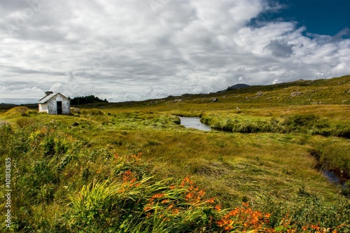 Einsame Hütte neben Fluss in Irland © grafxart