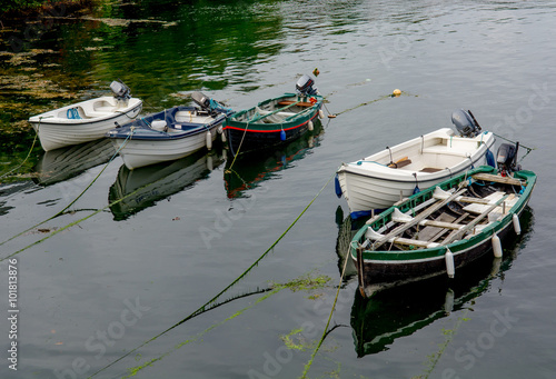 Boote im Hafen von Roundstone in Irland photo