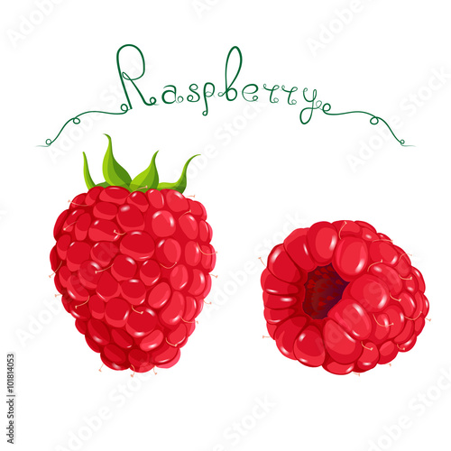 Raspberry illustration. Set of. Vector. Can be used in your own design.