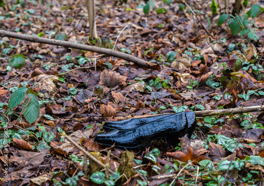 Obraz premium Schuhe im Wald